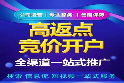 百度SEO推广策略全解析：某企业从零到一的成长历程